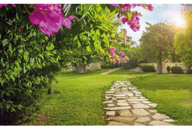 8312608 - Property Image 2