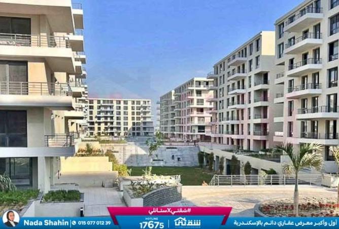 8477990 - Property Image 3