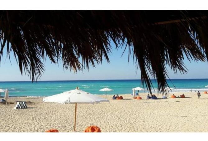 7989254 - الصورة الرئيسية للعقار