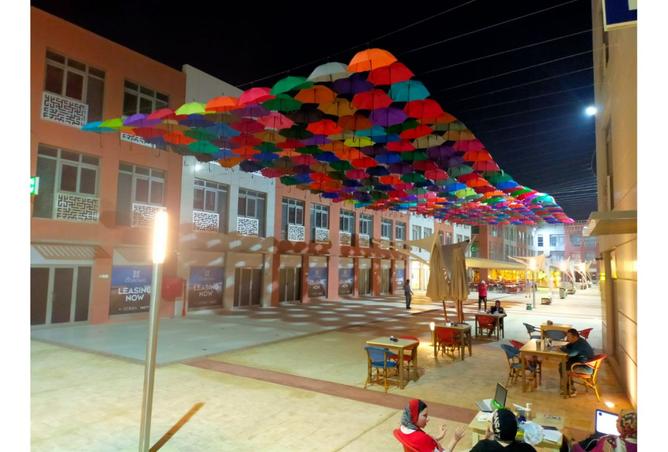 7913516 - صورة العقار 2
