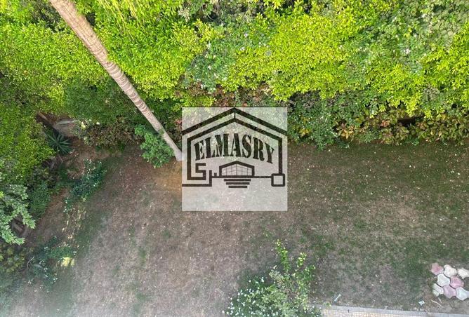 8063547 - Property Image 3