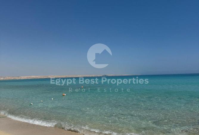 7904836 - صورة العقار 3