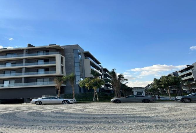 8171984 - Property Image 3