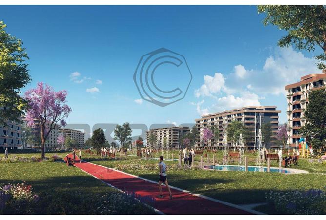 8078376 - Property Image 3