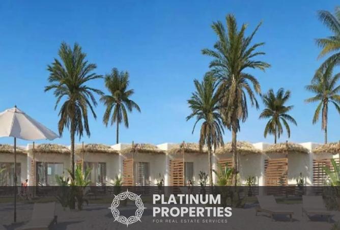 8153730 - Property Image 2