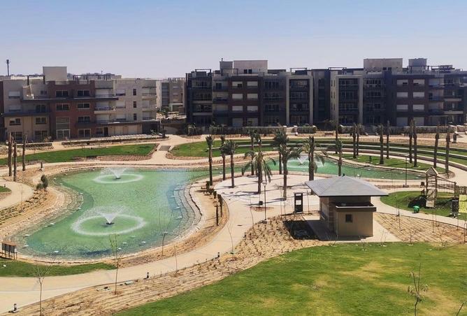 8269299 - Property Image 3