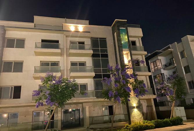 7904551 - Property Image 3