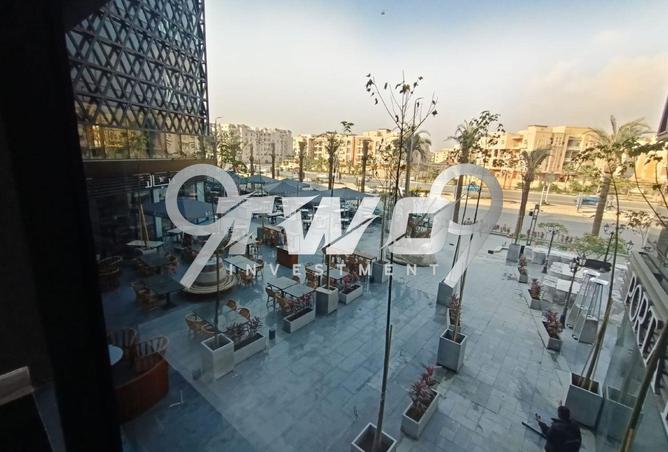 8164798 - Property Image 3