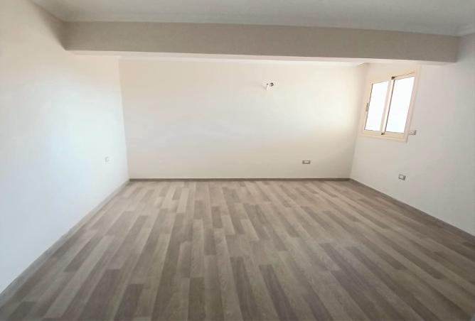 8452241 - Property Image 3