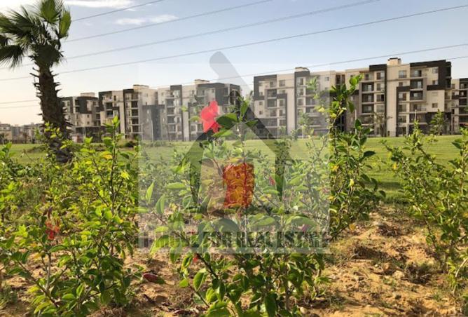 7559428 - Property Image 2