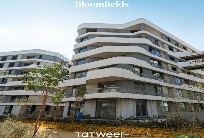 8016538 - Property Image 3