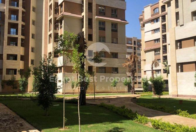 8451140 - صورة العقار 3