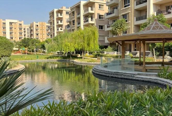 8396361 - Property Image 3