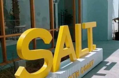 Chalet - 2 Bedrooms - 2 Bathrooms for sale in Salt - Ras Al Hekma - North Coast