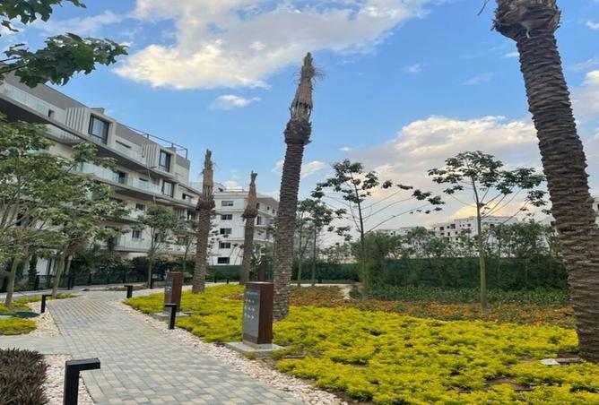 8165613 - صورة العقار 2