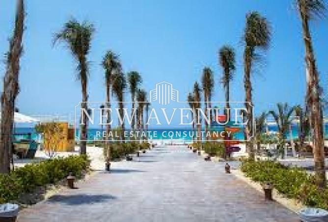 8236275 - Property Image 2