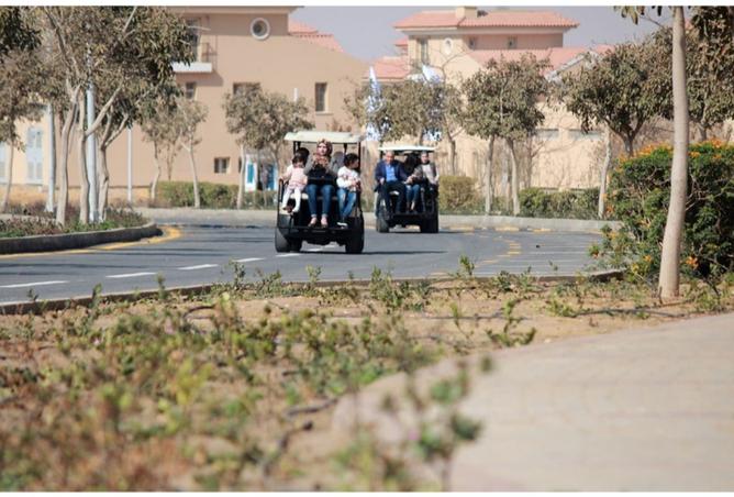 8415888 - Property Image 3