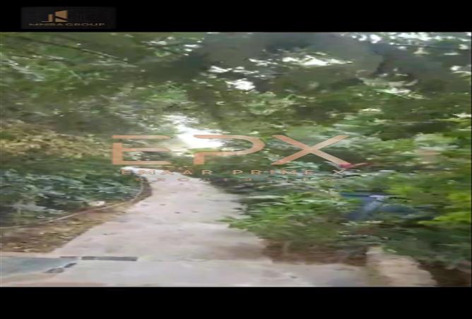 5799654 - صورة العقار 3