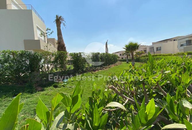 7905252 - صورة العقار 2