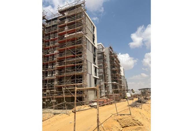 7996550 - Property Image 3