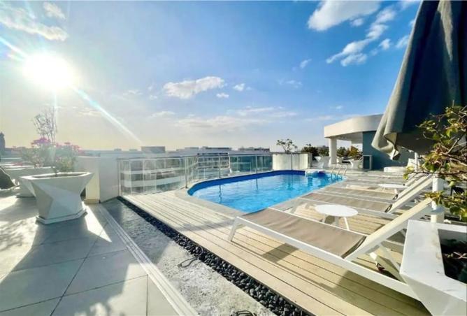 7904758 - Property Image 3
