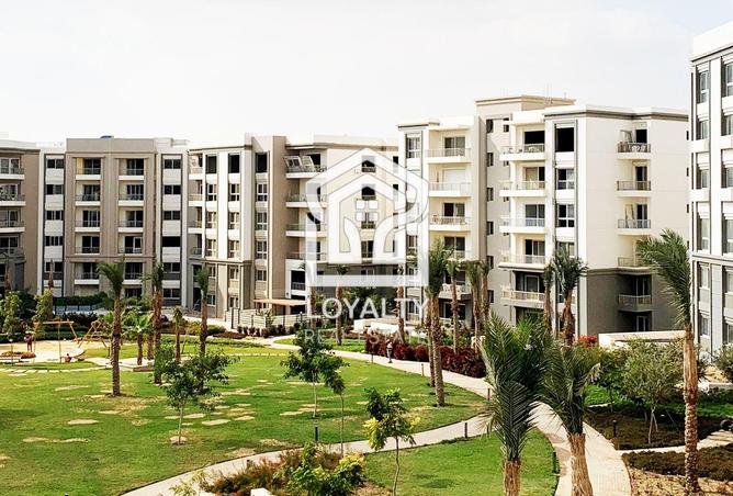 8115703 - Property Image 3