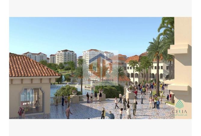 8363565 - Property Image 3