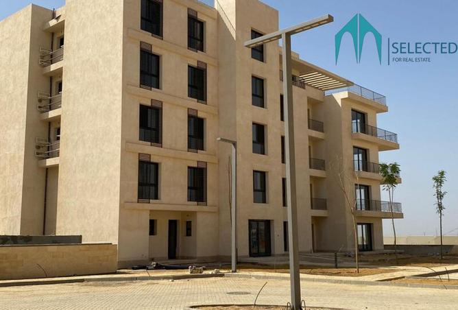 8359997 - Property Image 3