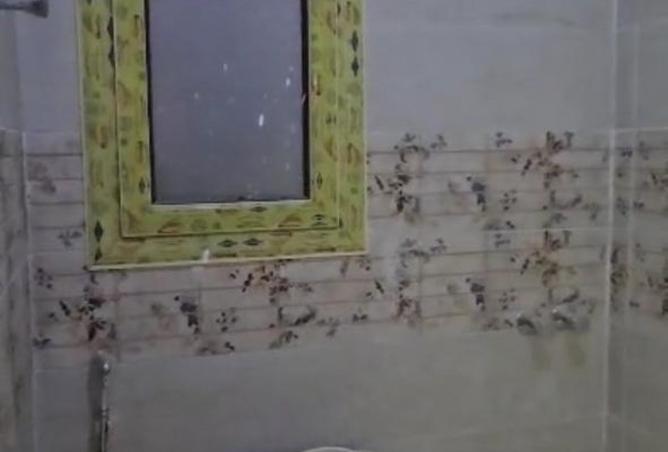 8513137 - Property Image 3