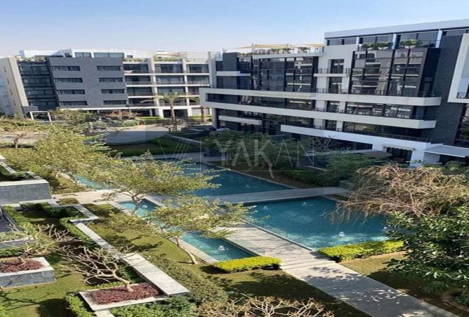 7974826 - Property Image 3