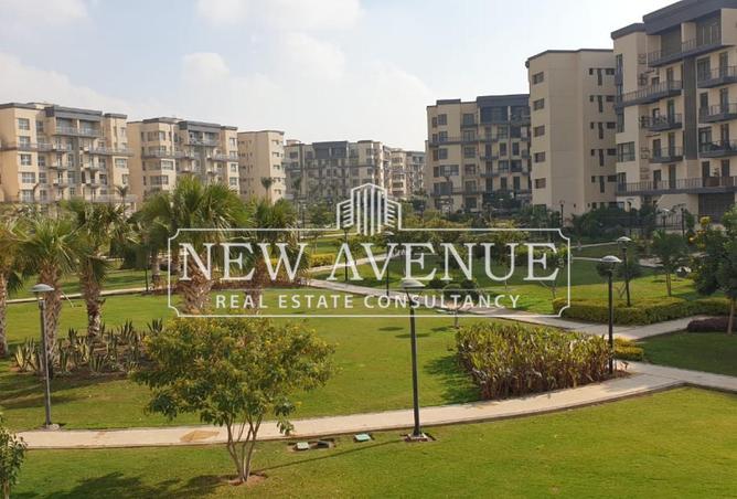 8163686 - صورة العقار 3