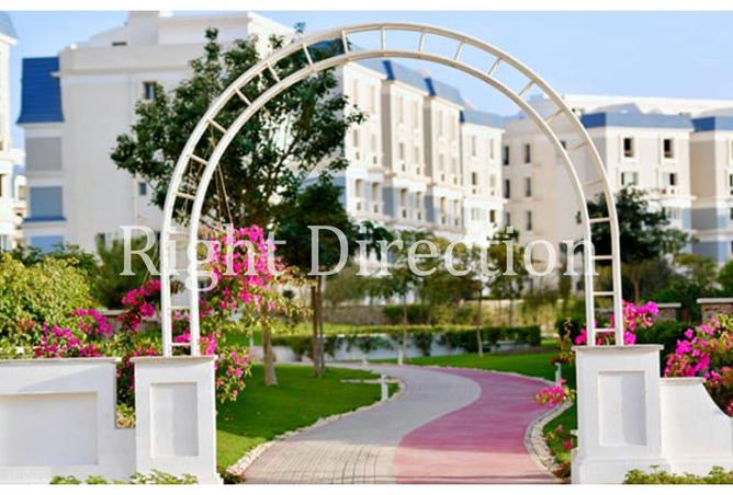 8384446 - Property Image 3