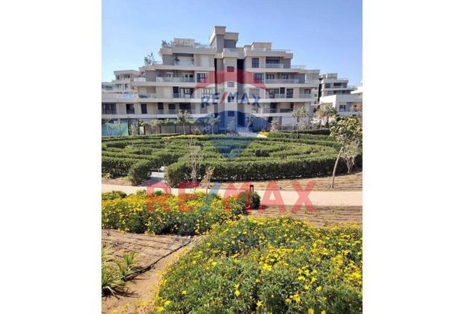 8292148 - صورة العقار 3