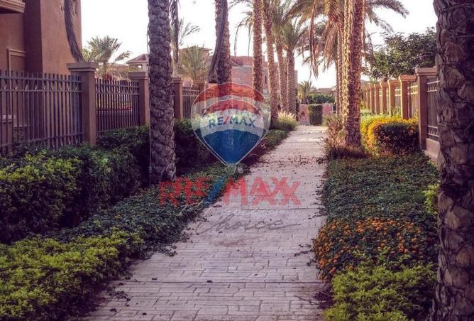 7953999 - صورة العقار 3