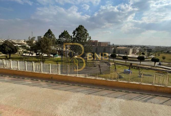 7924891 - Property Image 3