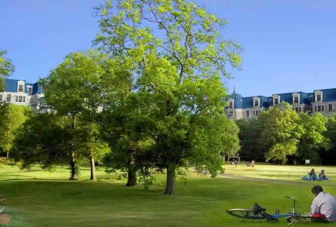 8456781 - Property Main Image