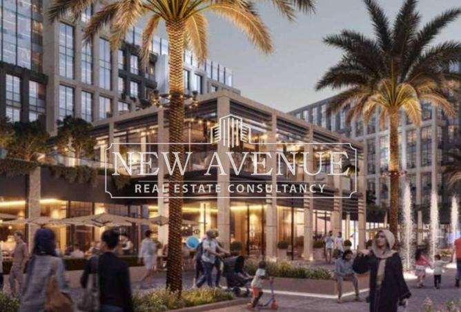 8282806 - Property Image 3