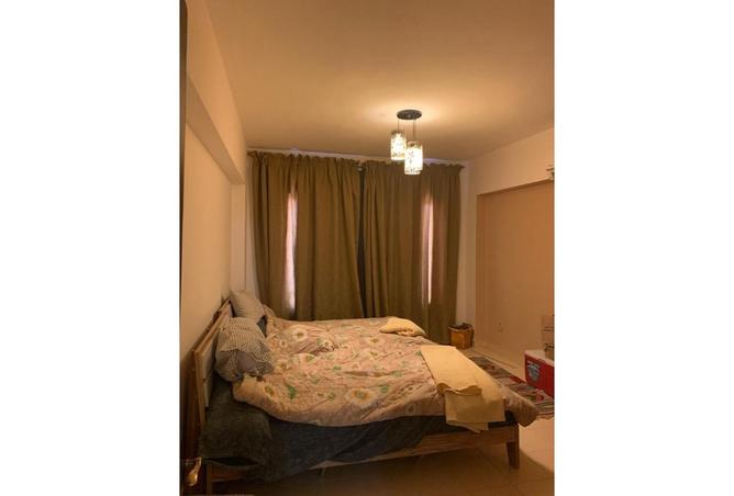 8184573 - Property Image 3