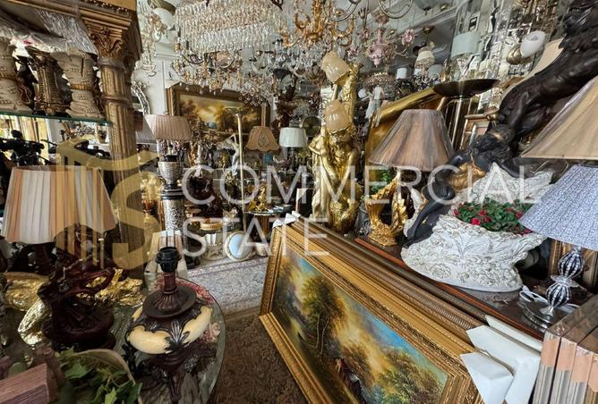 8388399 - صورة العقار 2