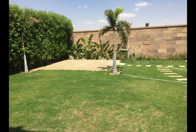 7810926 - صورة العقار 3