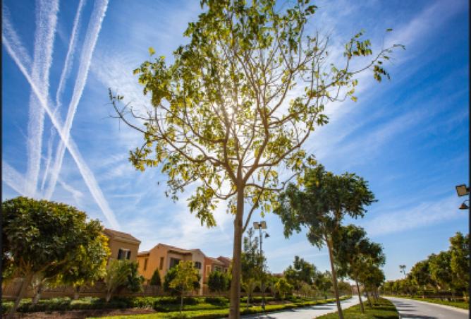 8441112 - صورة العقار 3