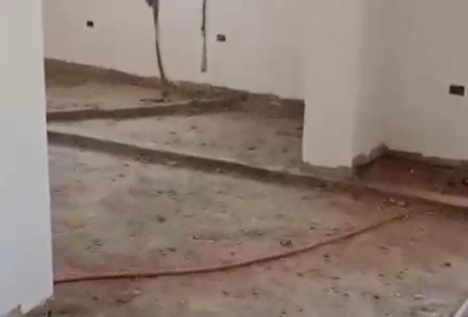 8256128 - صورة العقار 2