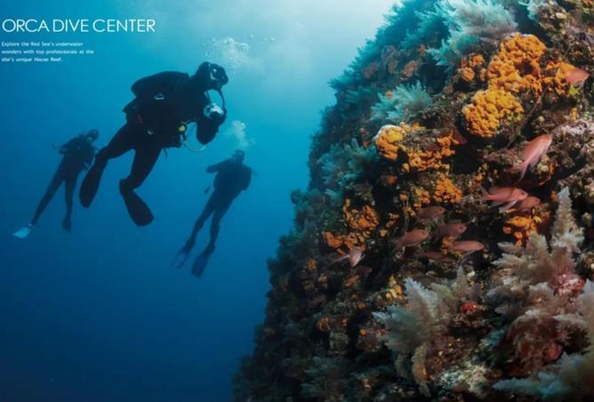 8460214 - صورة العقار 3