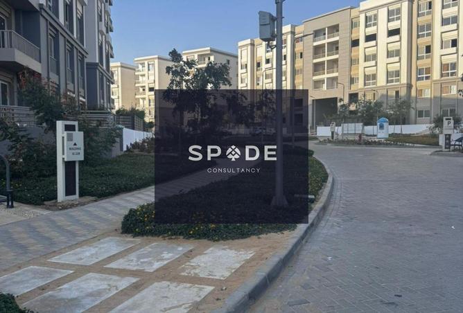 8477331 - Property Image 3