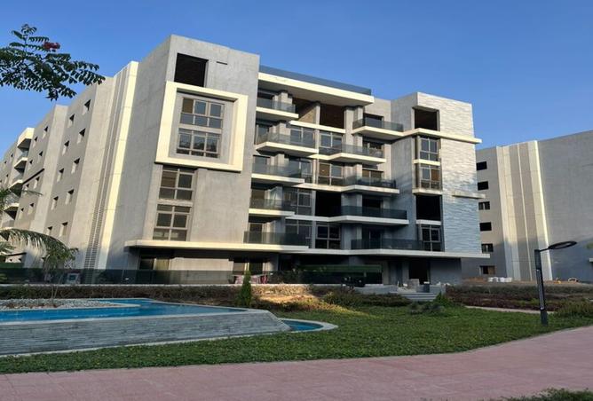8040256 - Property Image 3