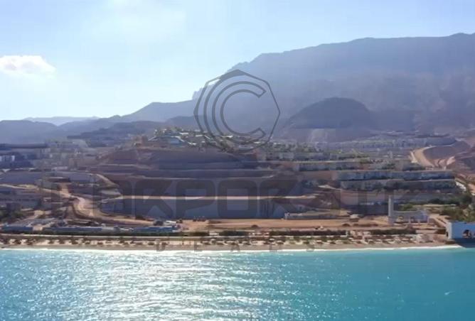 8163664 - Property Image 3