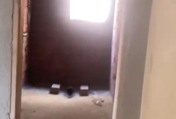 8474330 - Property Image 3