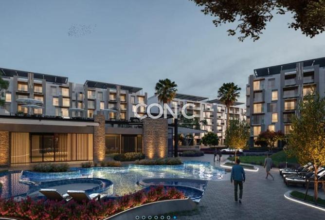 8465264 - Property Image 3