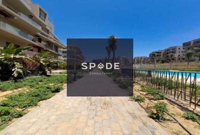 8089038 - Property Image 3