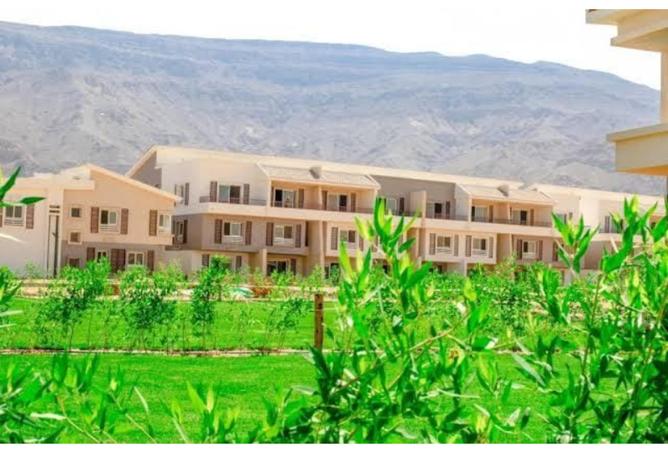 8536554 - صورة العقار 2